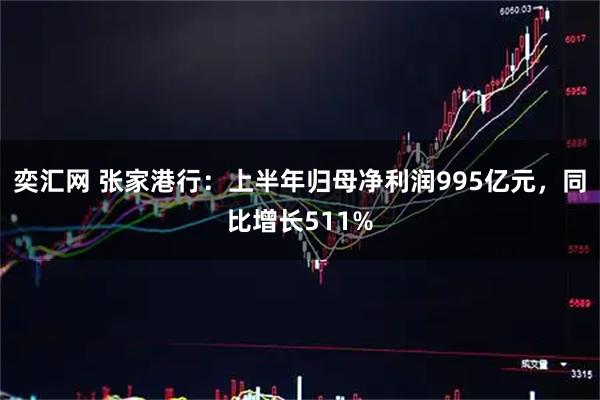 奕汇网 张家港行：上半年归母净利润995亿元，同比增长511%