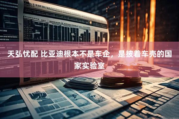 天弘忧配 比亚迪根本不是车企，是披着车壳的国家实验室