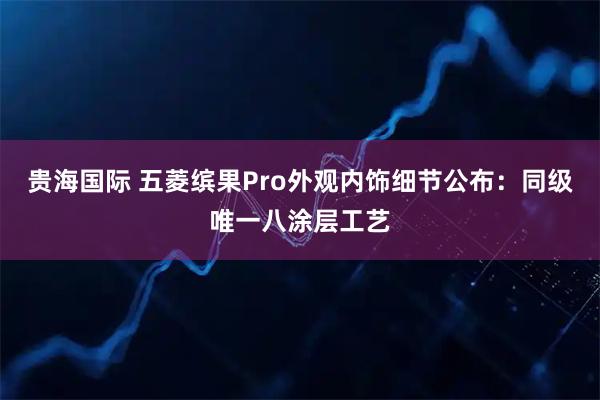 贵海国际 五菱缤果Pro外观内饰细节公布：同级唯一八涂层工艺