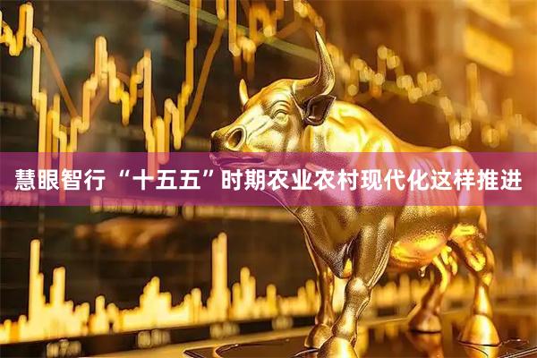 慧眼智行 “十五五”时期农业农村现代化这样推进