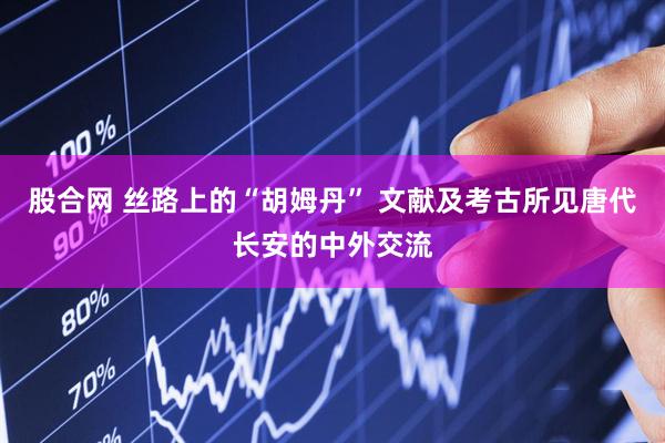 股合网 丝路上的“胡姆丹” 文献及考古所见唐代长安的中外交流