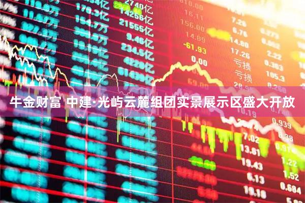 牛金财富 中建·光屿云麓组团实景展示区盛大开放