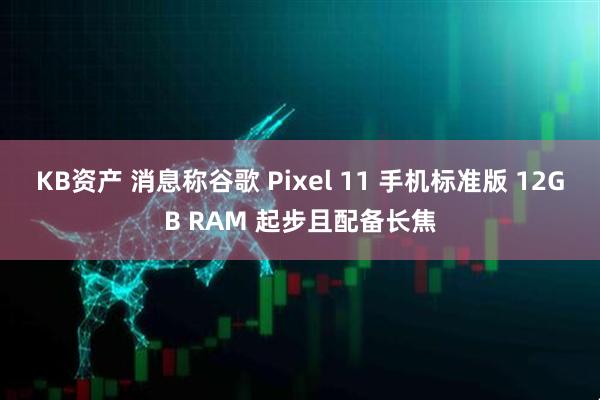 KB资产 消息称谷歌 Pixel 11 手机标准版 12GB RAM 起步且配备长焦