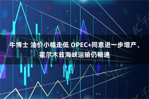 牛博士 油价小幅走低 OPEC+同意进一步增产、霍尔木兹海峡运输仍畅通
